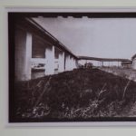 Gallery 4 - Sandy Lopez-Isnardi