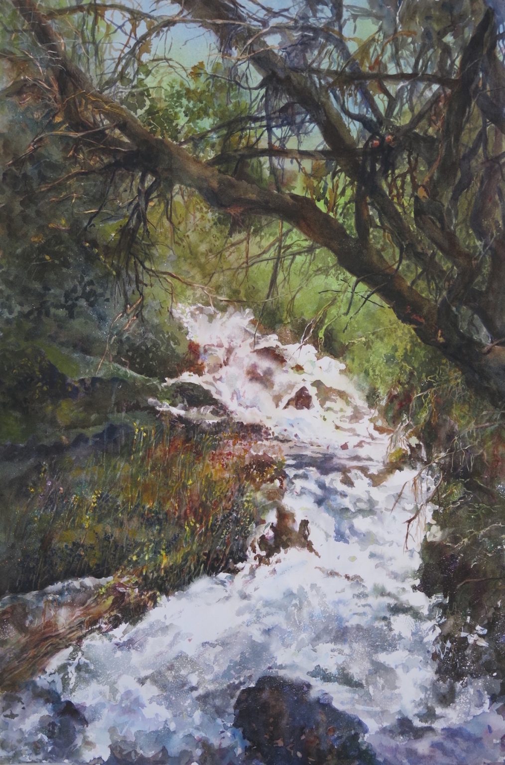Gallery 3 - Marilyn Liedman