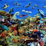 Gallery 9 - Ann Schwartz