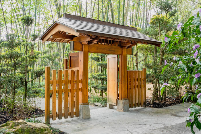 Gallery 5 - The Kodai-mon or 