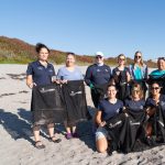 Gallery 2 - Beach Cleanup